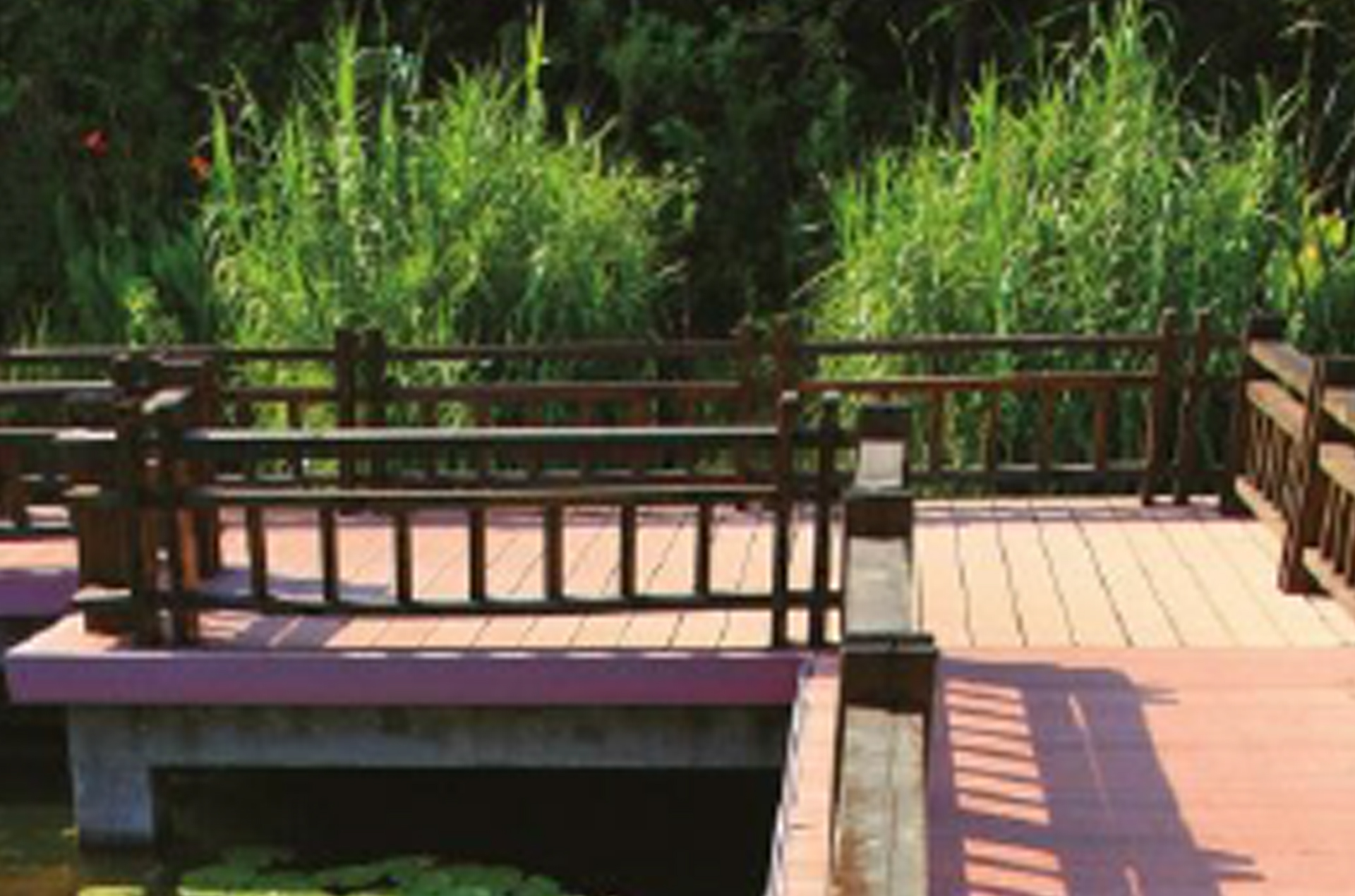 WPC Decking in Abu Dhabi